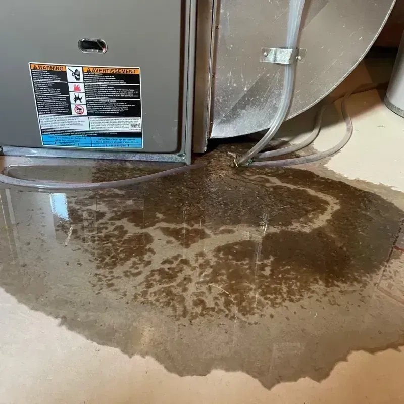 Appliance Leak Cleanup in Monticello, UT